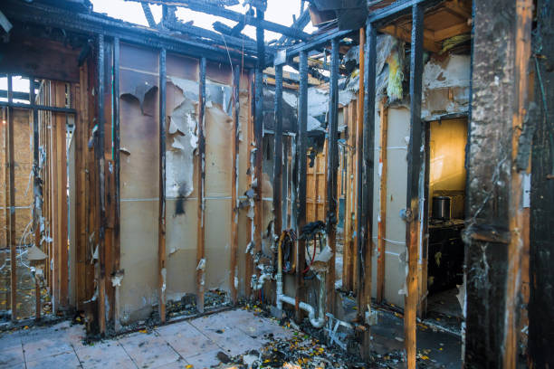 Professional Soot Cleanup technician working in Zimmerman, MN
